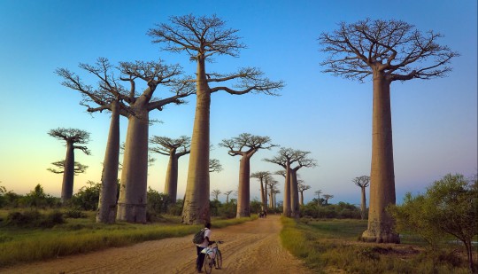 Madagaskar