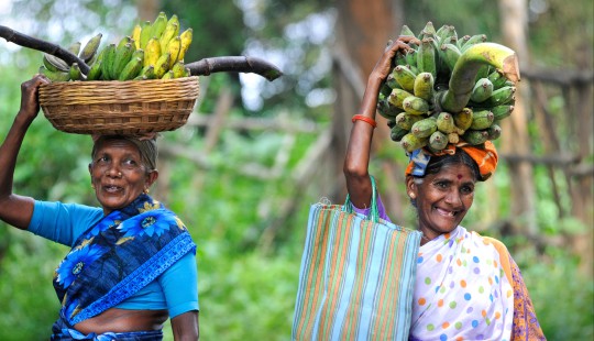 Södra Indien
