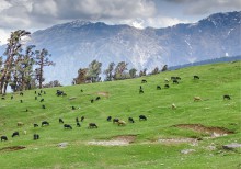 Resan avslutas emd lättare vandring i Himalaya