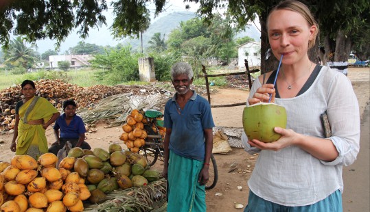 Sydindiens smaker