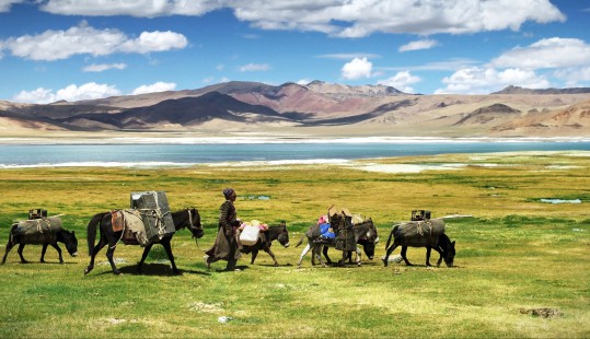 Vandra i Tibet