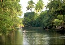 Den klassiska bilden av Backwaters