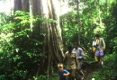 Ge dig ut och vandra i Periyar National Park