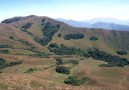 Nilgiri Hills