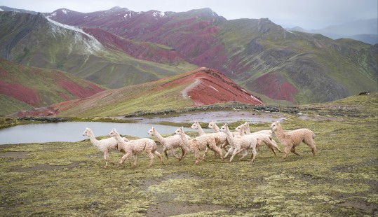 Peru