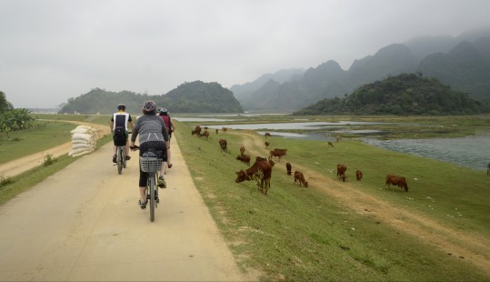 Cykla i Vietnam