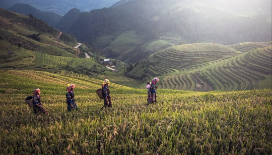 Vandring i norra Vietnam