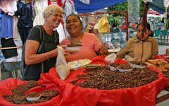 Alla älskar mexikansk mat. Smaka på rostade gräshoppor på marknaden i Oaxaca