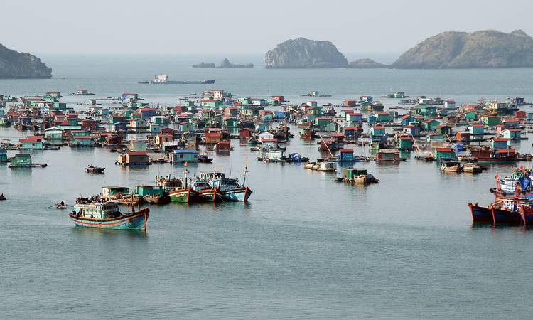 Fiskeby i Ha Long Bay