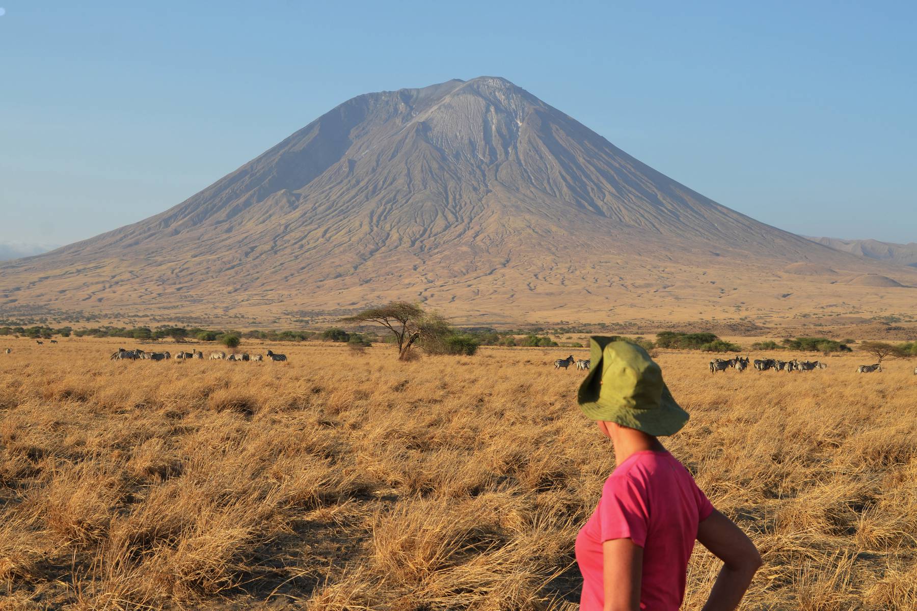 Under vandringen på savannen har du vacker utsikt över Mt Meru
