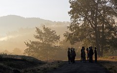 Promenad tidig morgon i Parambikulam tigerreservat