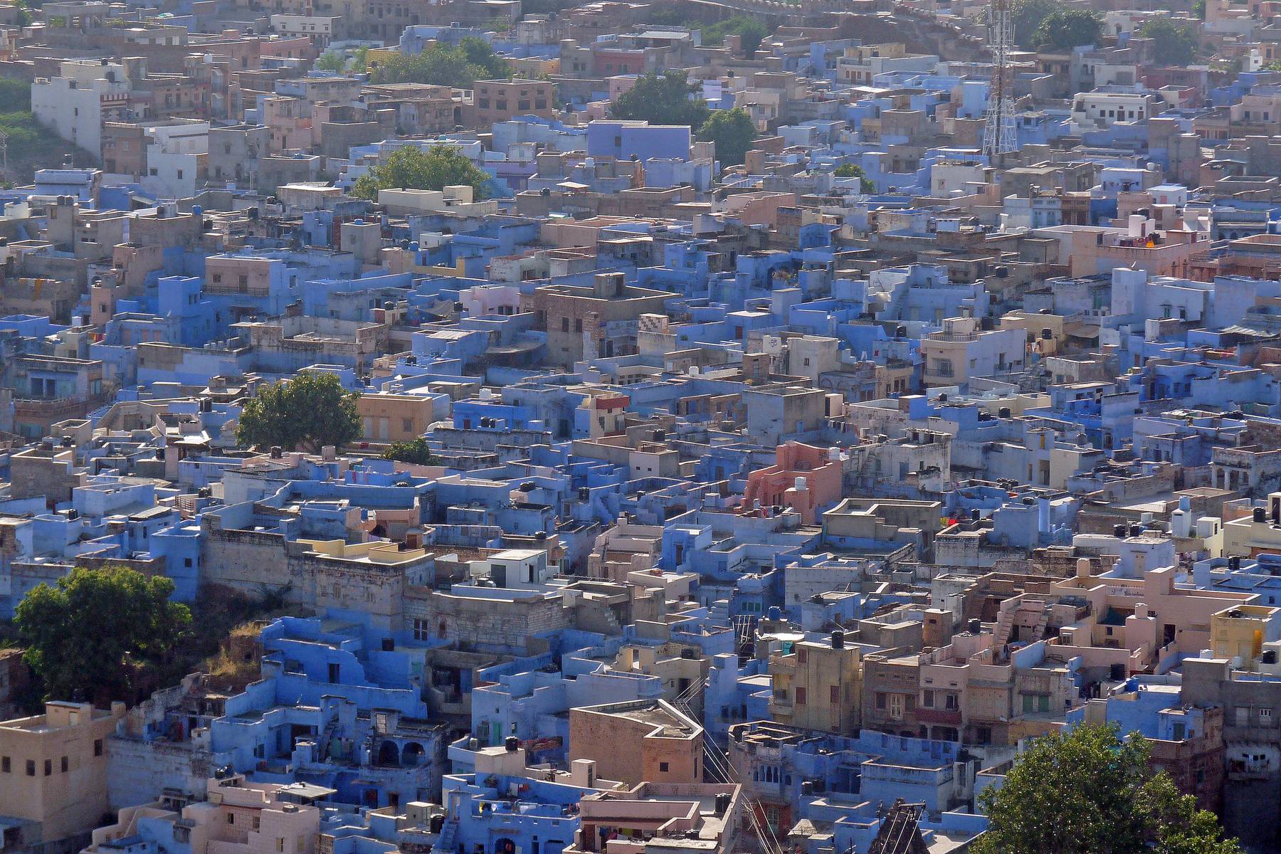 Jodhpur, den blå staden
