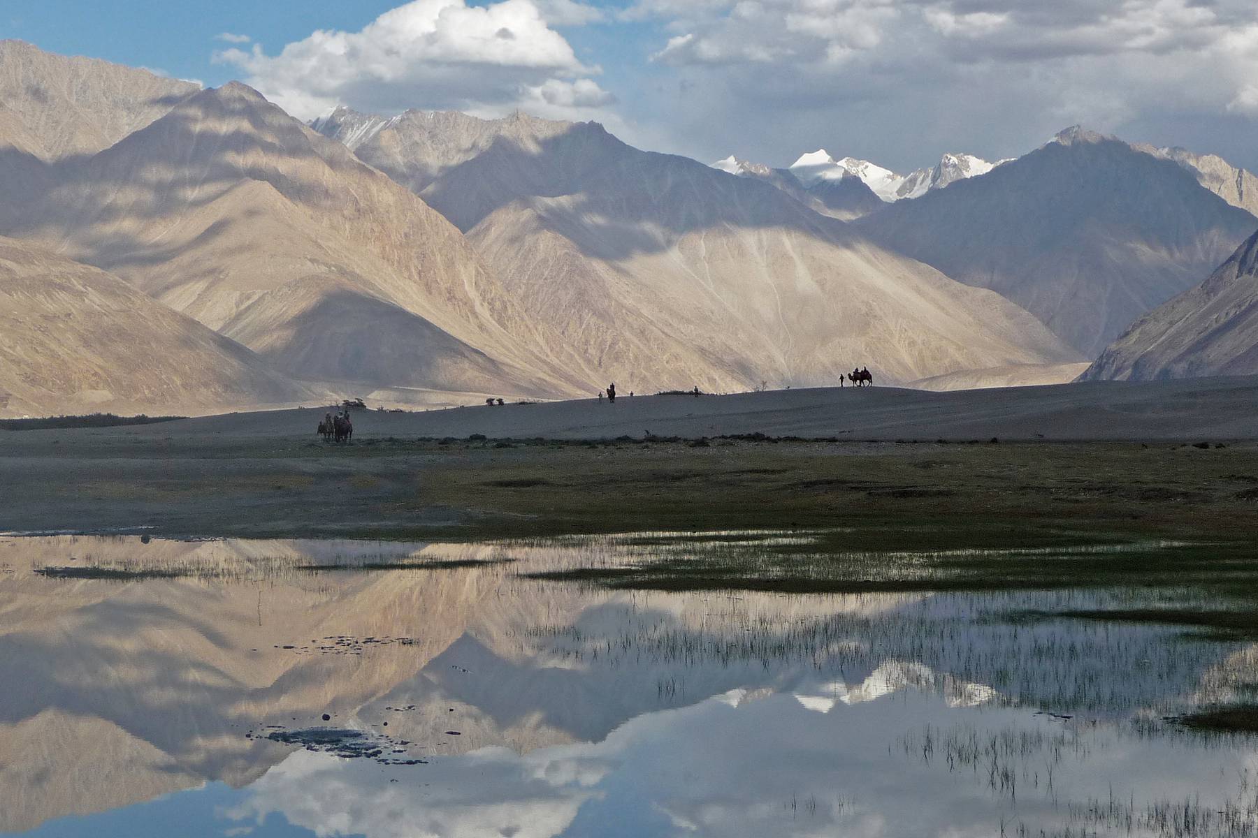 Nubra Valley. Enda platsen med kameler utanför Centralasien