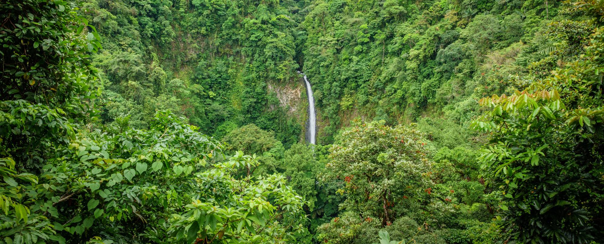 Vattenfall i Costa Ricas regnskog