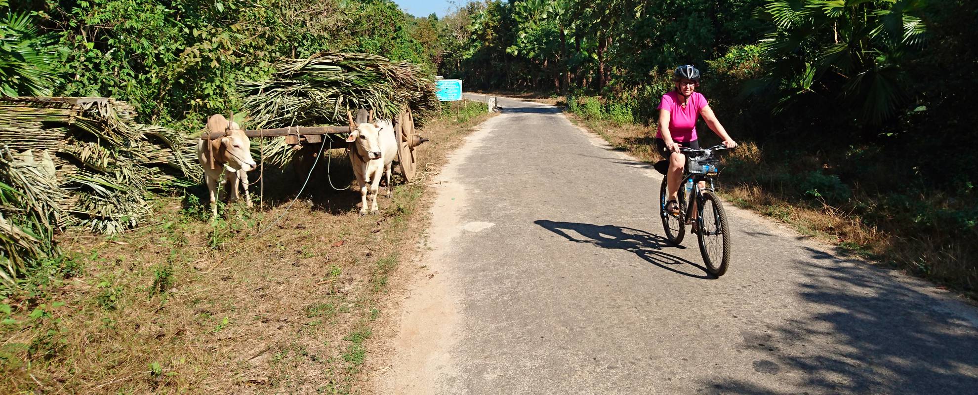 Vacker cykling på landsbygden