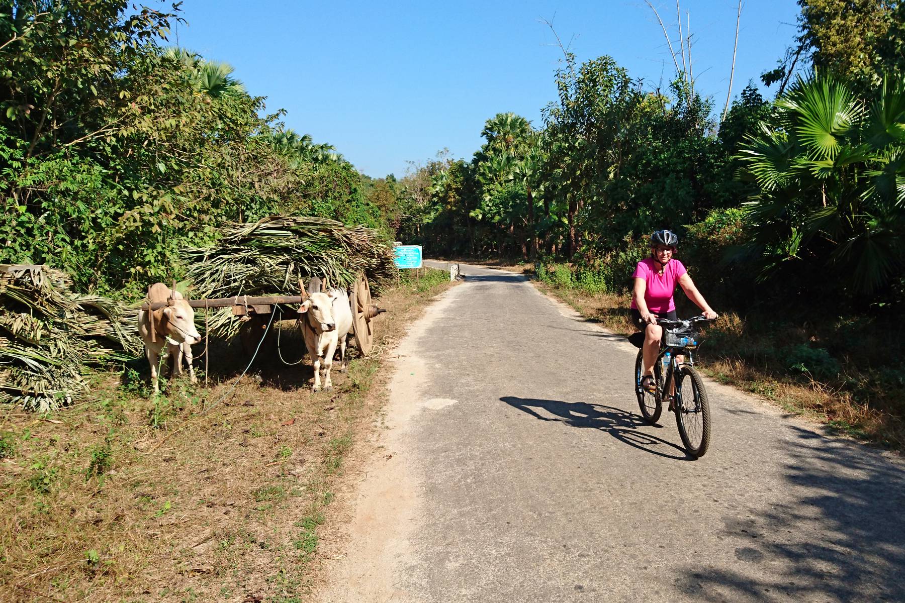 Vacker cykling på landsbygden