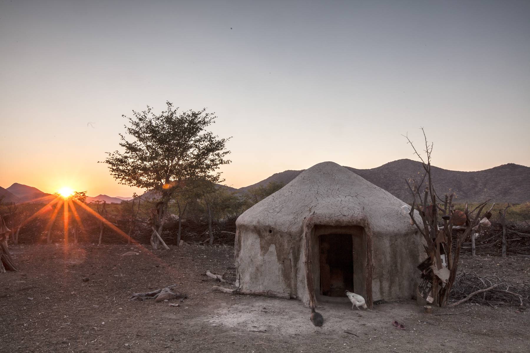 Himba Homestead