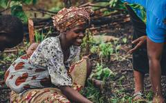 Jordbruket är en viktig del för många i Sierra Leone