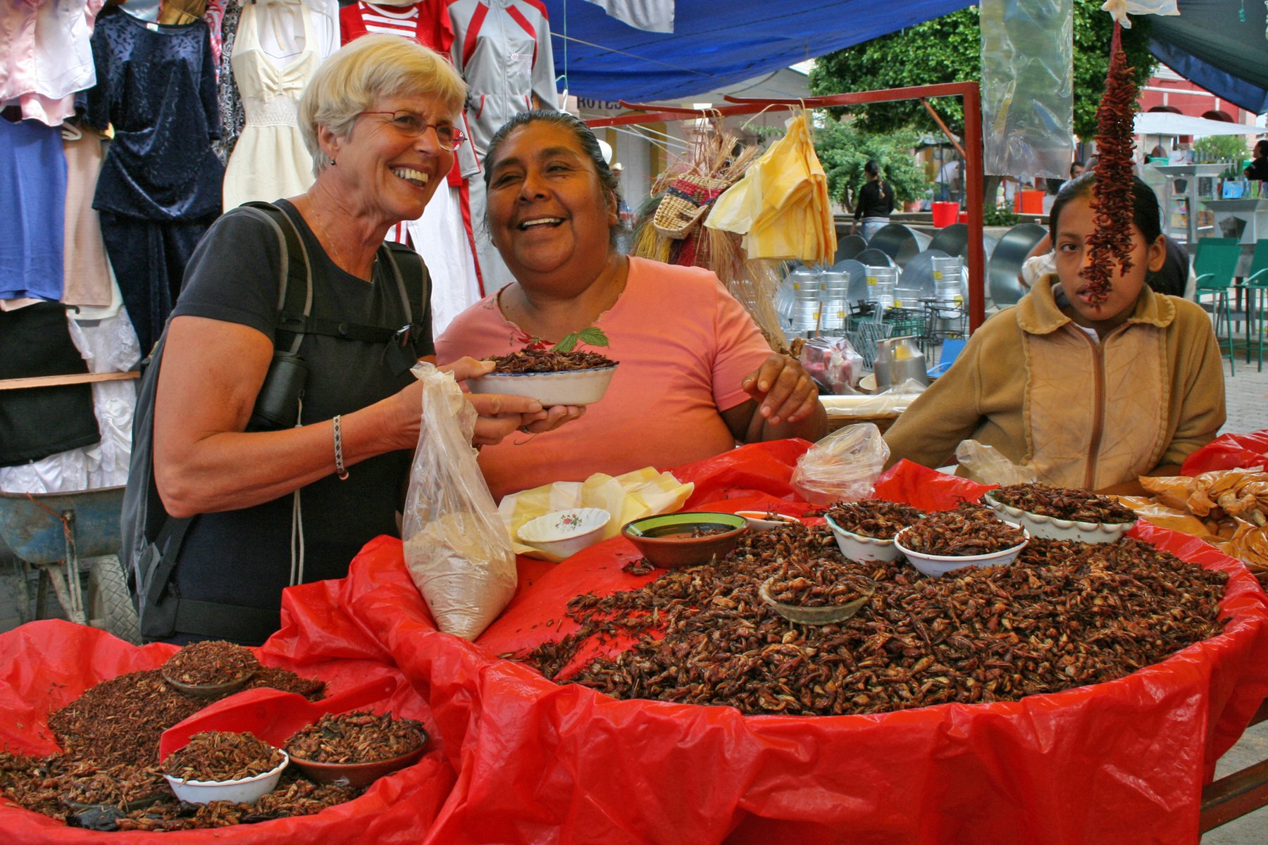 Alla älskar mexikansk mat. Smaka på rostade gräshoppor på marknaden i Oaxaca