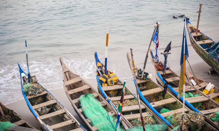 Färgglada fiskebåtar längs Afrikas Guldkust