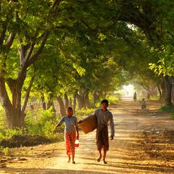 Klassiska scenerier på Burmas landsbygd