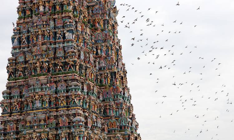 Madurai med Indiens största tempel, Shree Meenakshi