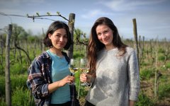 Du besöker en ekologisk vingård som drivs av två systrar