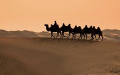 Du rider på baktriska kameler vid Khongoryn Els i Gobiöknen